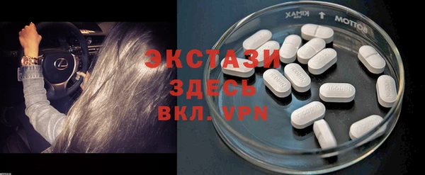 сатива Богданович