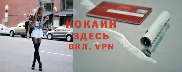 сатива Богданович