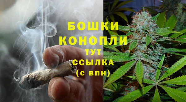 дмт Богородск