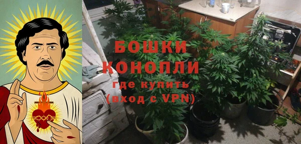 сатива Богданович