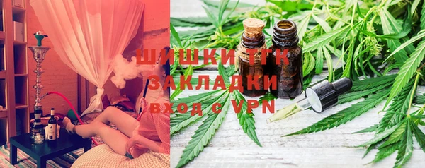 дмт Богородск