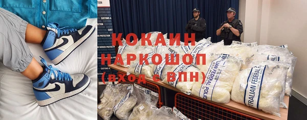 сатива Богданович
