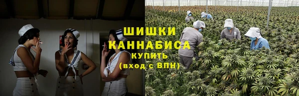 сатива Богданович