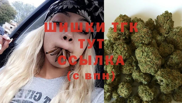 дмт Богородск