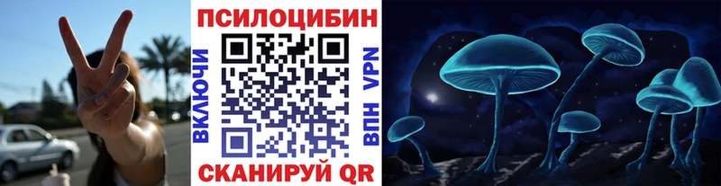 ссылка на мегу как войти  площадка официальный сайт  Нарткала  Псилоцибиновые грибы Magic Shrooms  цена наркотик 